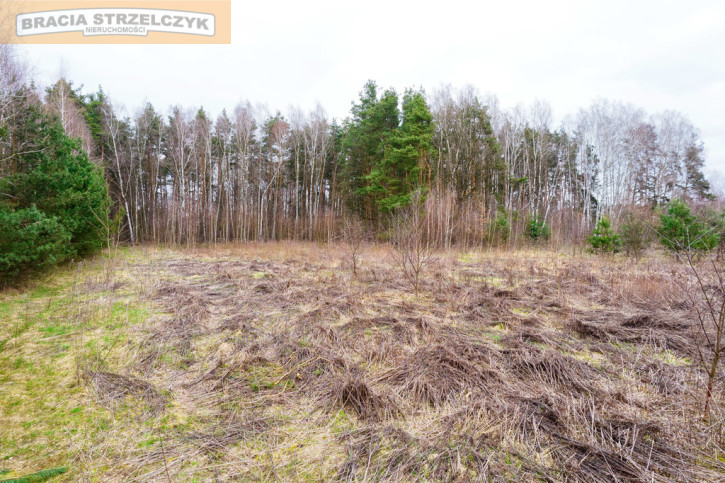 Działka Sprzedaż Grzegorzewice 9